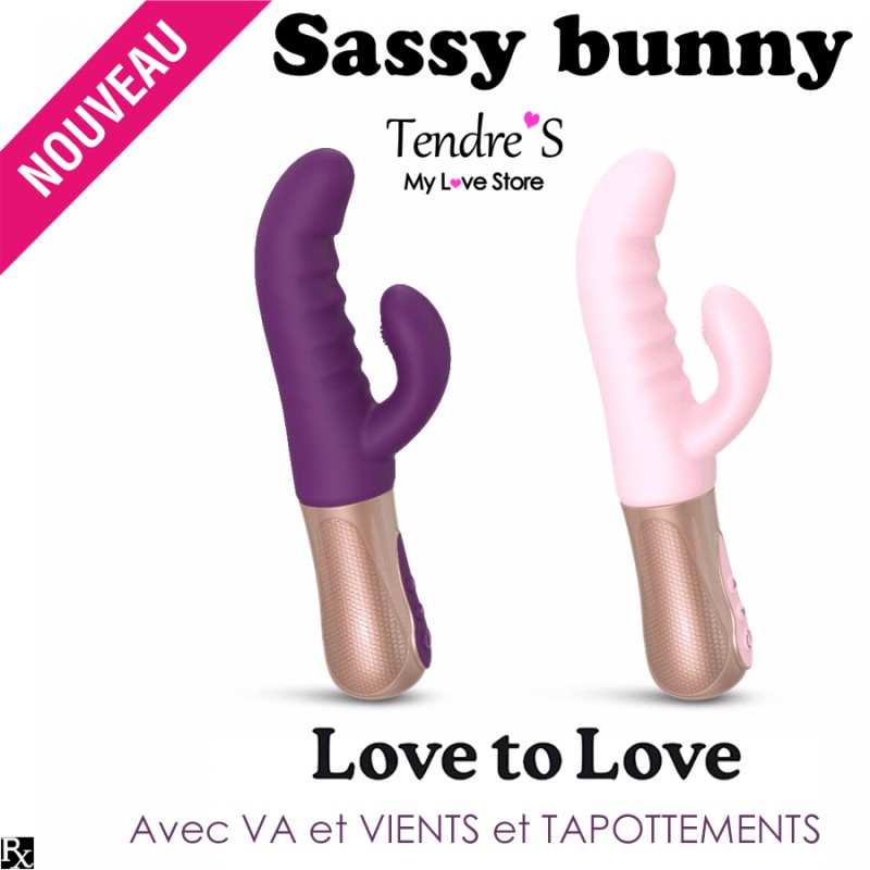 RABBIT VA ET VIENT SASSY BUNNY PURPLE DE "LOVE TO LOVE"