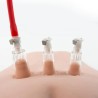 Love toys POMPE A SEINS TETONS OU CLITORIS TEMPTASIA DE BLUSH A POIRE