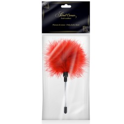 PLUMEAU ROUGE A CARESSES DE "SWEET CARESS"