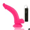 LOVE TOYS VENTOUSE VIBRANT ROSE DE "DIVERSIA"  21.5 CM