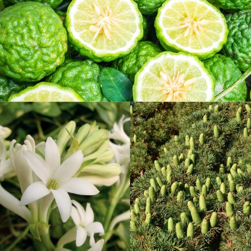 Aphrodisiaques PARFUM D ATTIRANCE PHEROSTRONG HQ