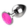 PLUG METAL FUSHIA COQUETTE CHIC DESIRE