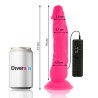 LOVE TOYS VENTOUSE VIBRANT ROSE DE DIVERSIA  21 CM