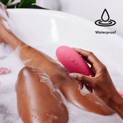 Love toys WOMANIZER PREMIUM 2 ROSE
