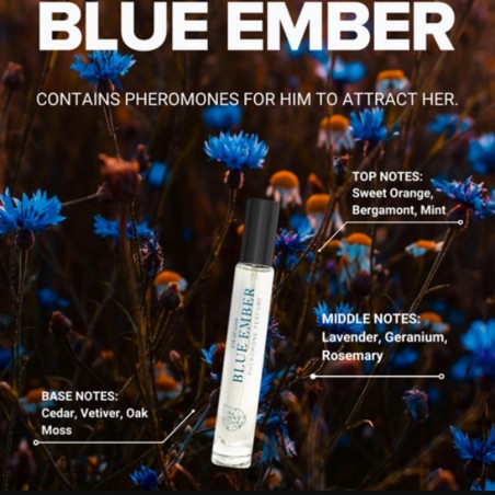 Aphrodisiaques EAU DE PARFUM AUX PHEROMONES BLUE EMBER DE LOVE IN ROOM