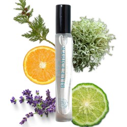 Aphrodisiaques EAU DE PARFUM AUX PHEROMONES BLUE EMBER DE LOVE IN ROOM