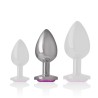 PLUG ANAL ARGENTE BIJOU ROSE TAILLE M DE INTENSE