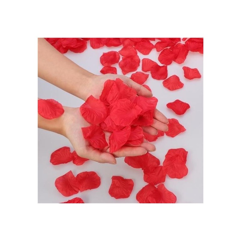 Jeux et Livres PETALES DE ROSES ROUGES (150 pcs)