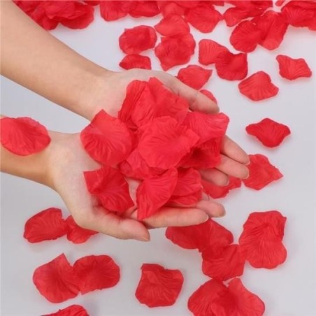 Jeux et Livres PETALES DE ROSES ROUGES (150 pcs)