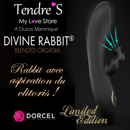 Love toys DIVINE RABBIT DE "DORCEL"