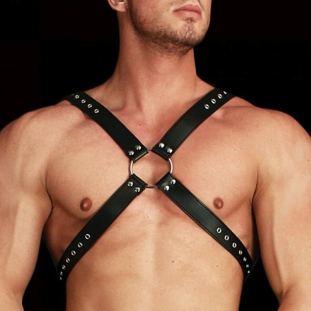 ACCESSOIRES HARNAIS "ADONIS" DE "OUCH"