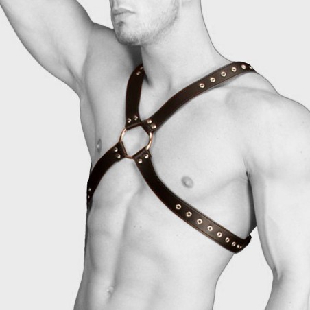 ACCESSOIRES HARNAIS "ADONIS" DE "OUCH"